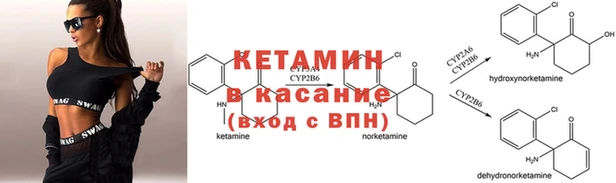 трава Бородино